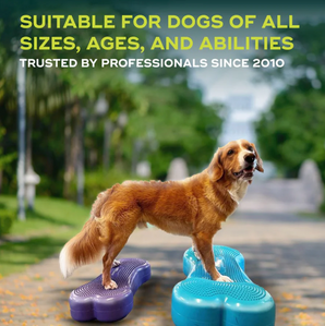 FitPAWS K9FITbone & K9Fitbone GIANT dog balance trainer stability and coordination tool for dogs
