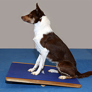FitPAWS Giant Rocker Board