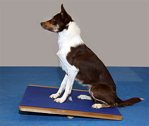 FitPAWS Giant Rocker Board