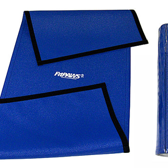 FitPAWS Giant Rocker Board