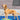 FitPAWS Targets