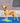 FitPAWS Targets