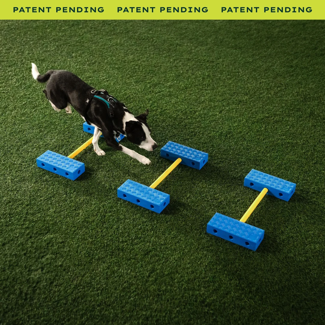 Fitpaws Inflatable Ramp FitPaws FitKinect | Entrenador de Equilibrio para Perros – SalesDepot.eu