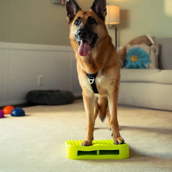 FitPaws Balance Ramp