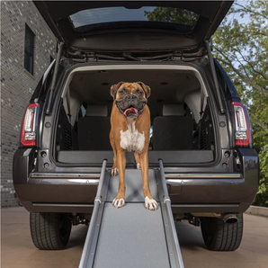 Telescopic Dog Ramp PetSafe Happy Ride PTV17-16878