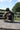 InnoPet MONACO Buggy IPS-035/B Features SalesDepot