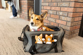 K9 Sport Sack Karry On Dog and toys