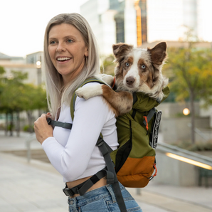 K9 Sport Sack Urban 3, 2-in-1 backpack