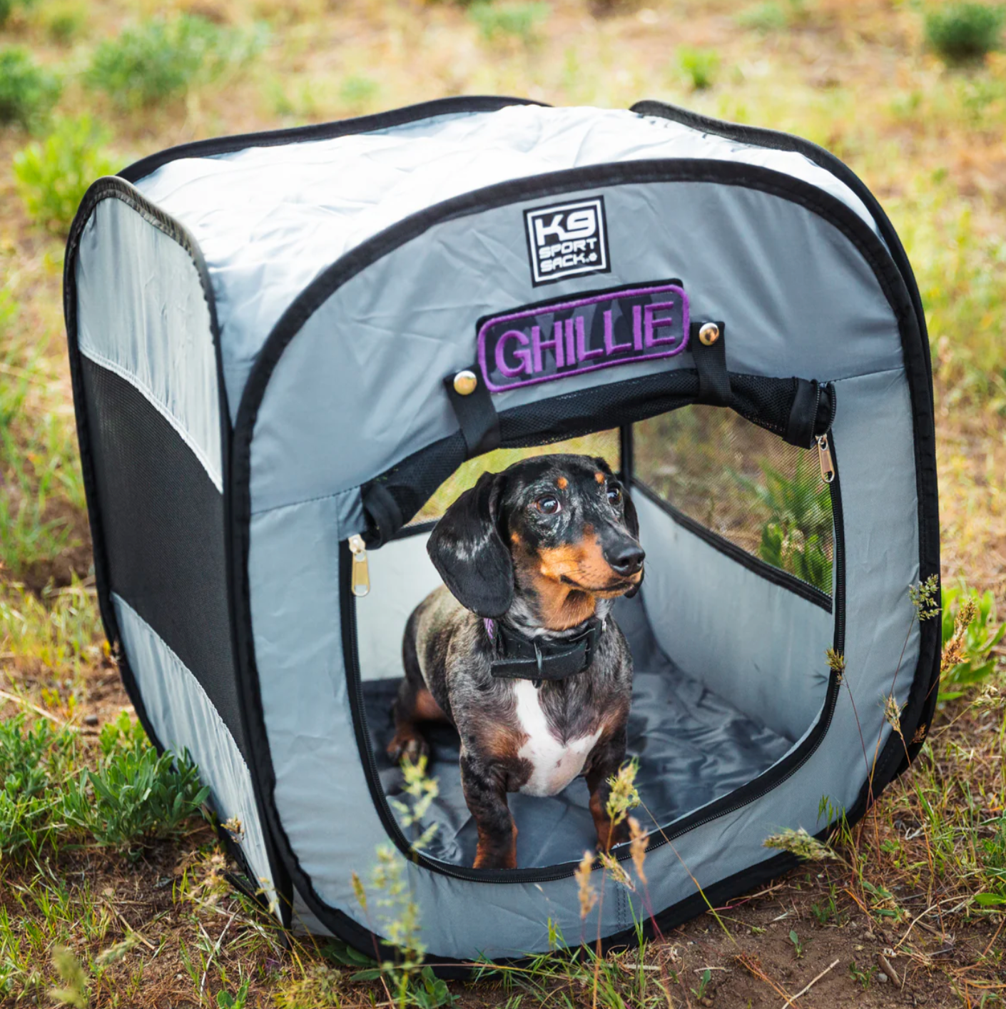 pop up zelt für hunde K9 Sport Sack Pop-Up Hundezelt Gazelle Miss Grace C7+ neutral Farbe:Armeegrün
