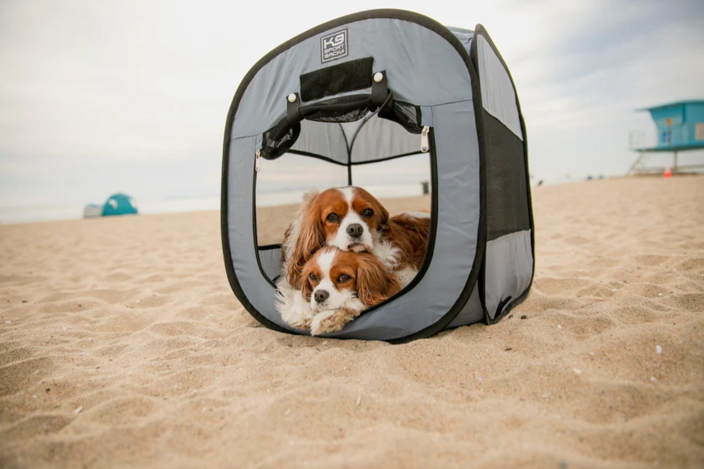 depot zelt K9 Sport Sack Pop-Up Hundezelt