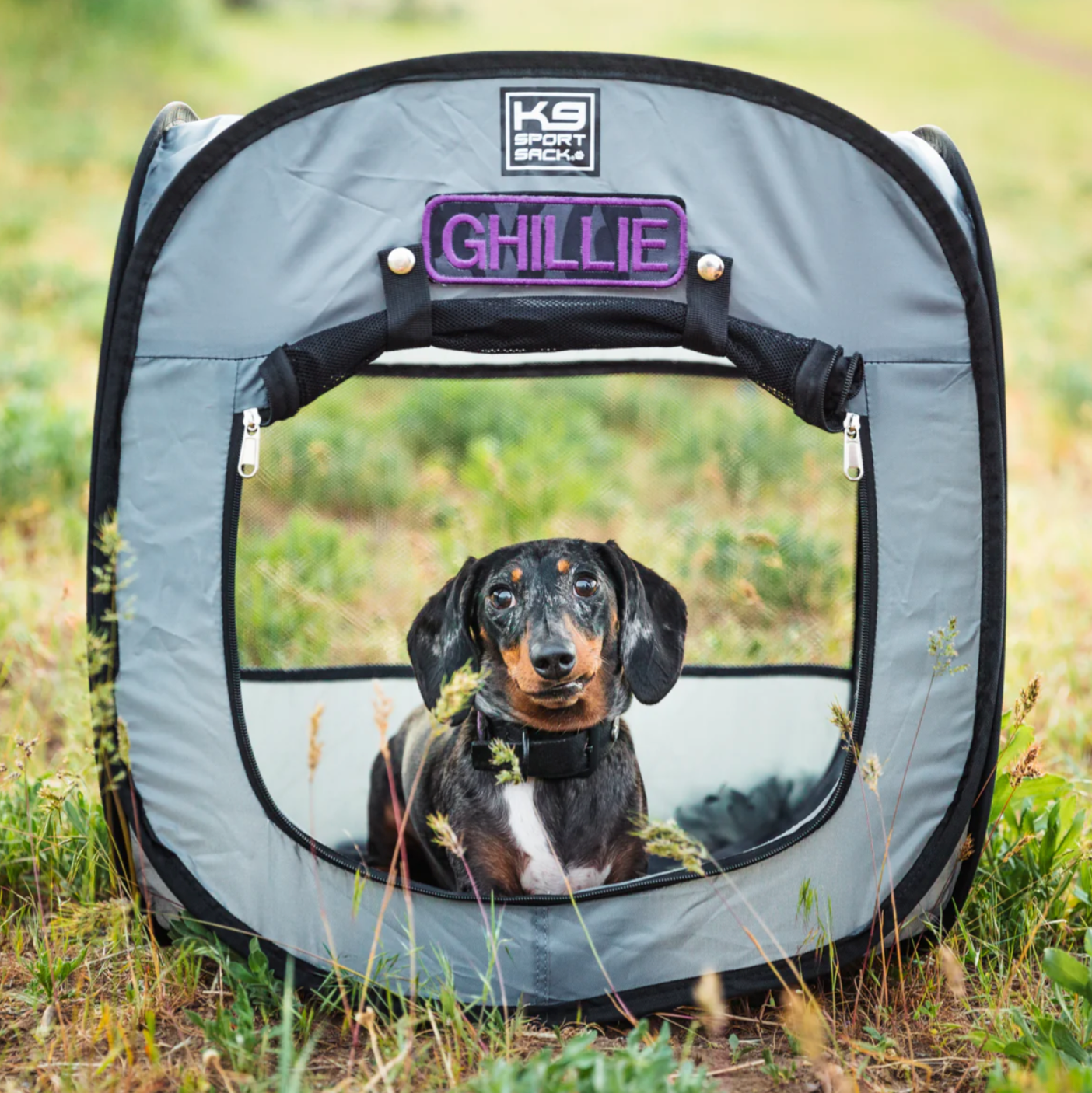 pop up zelt für hunde K9 Sport Sack Pop-Up Hundezelt