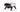 Nero gas pizza oven