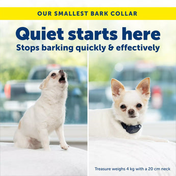 PBC70-18241 NanoBark 2.0 Bark Collar for Small Dogs