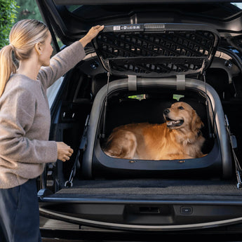 TAVO Everett crash-tested pet cargo crate