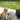 PetSafe Dog Trainer with Remote