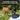 PetSafe Dog Trainer with Remote