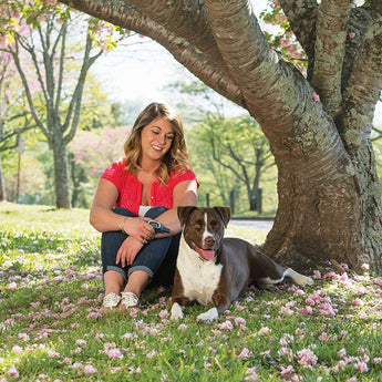 PetSafe remote trainers 100-900m