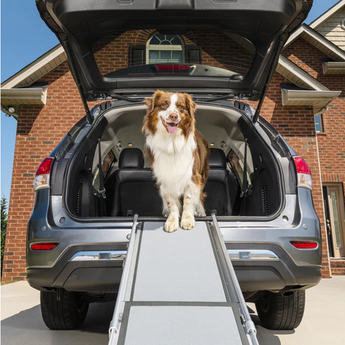 Telescopic Dog Ramp 
