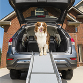 Telescopic Dog Ramp 