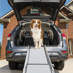 Telescopic Dog Ramp 
