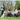 PetSafe remote trainers 100-900m