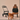 Tavo Hendrick Pet Car Seat ISOFIX and Flexible Carrier 