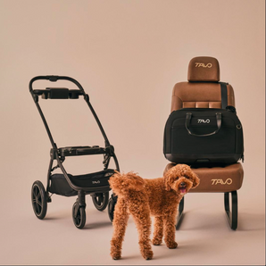 TAVO Hendrick asiento de coche ISOFIX y bolsa de transporte para perro y gato