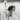 SportDOG 