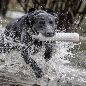 SportDOG®  Hunter