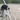 SportDOG SportTrainer