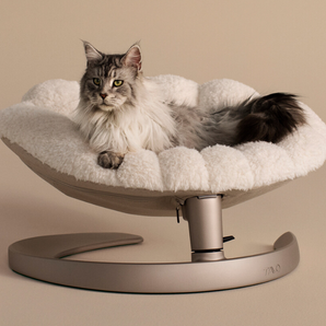 Cama elevada y basculante TAVO Shell para perros y gatos