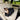 TAVO DUPREE II Onyx cat in car