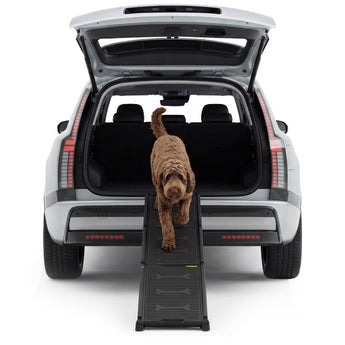 4pets EasySteps Noir hondenloopplank – TÜV-getest tot 100 kg