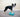 FitPAWS Ramp