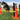 FitPAWS Hurdle Set