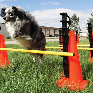 FitPAWS Hurdle Set
