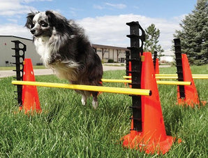FitPAWS Hurdle Set