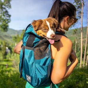 K9 Sport Sack Trainer