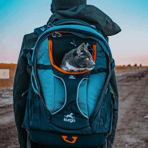 Kurgo G‑Train Pack