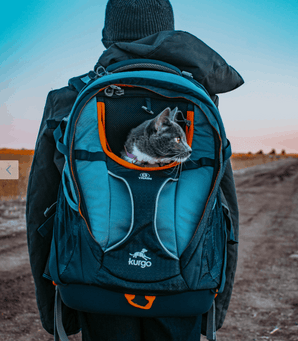 Kurgo G‑Train Pack