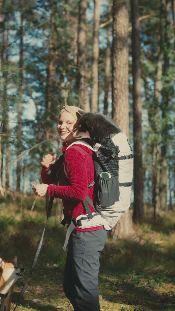 Walking in the woods with Dog in K9 Sport Sack Knavigate