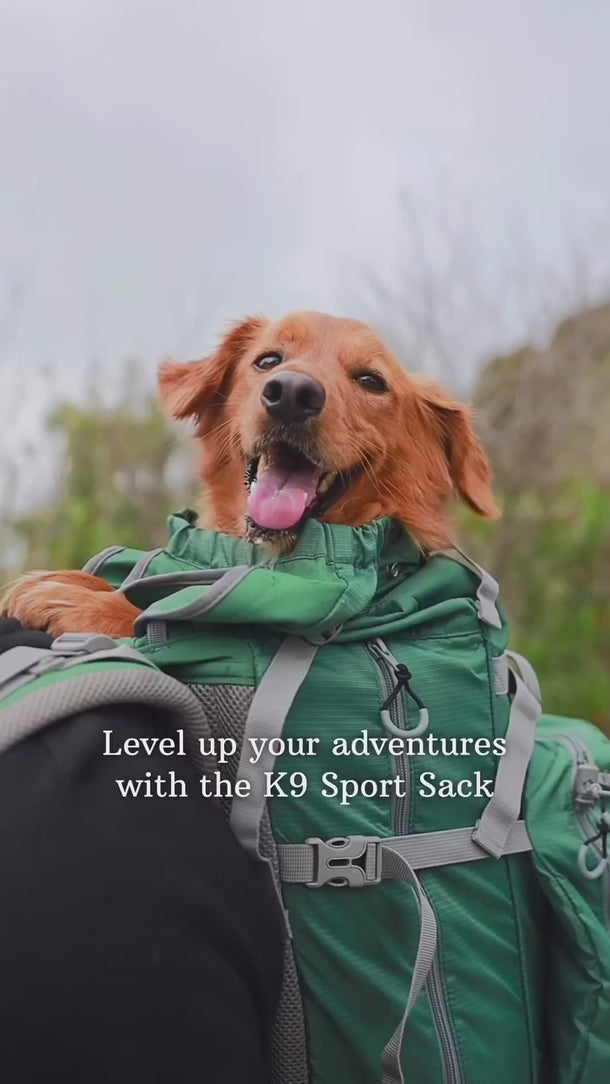 Adventure with K9 Sport Sack Kolossus video 