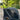Airbuggy CUBE NEST earth Grey cideo