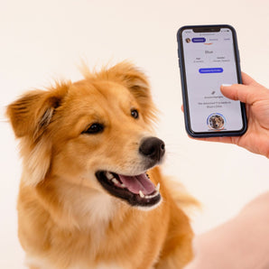 Wisdom Panel Essential